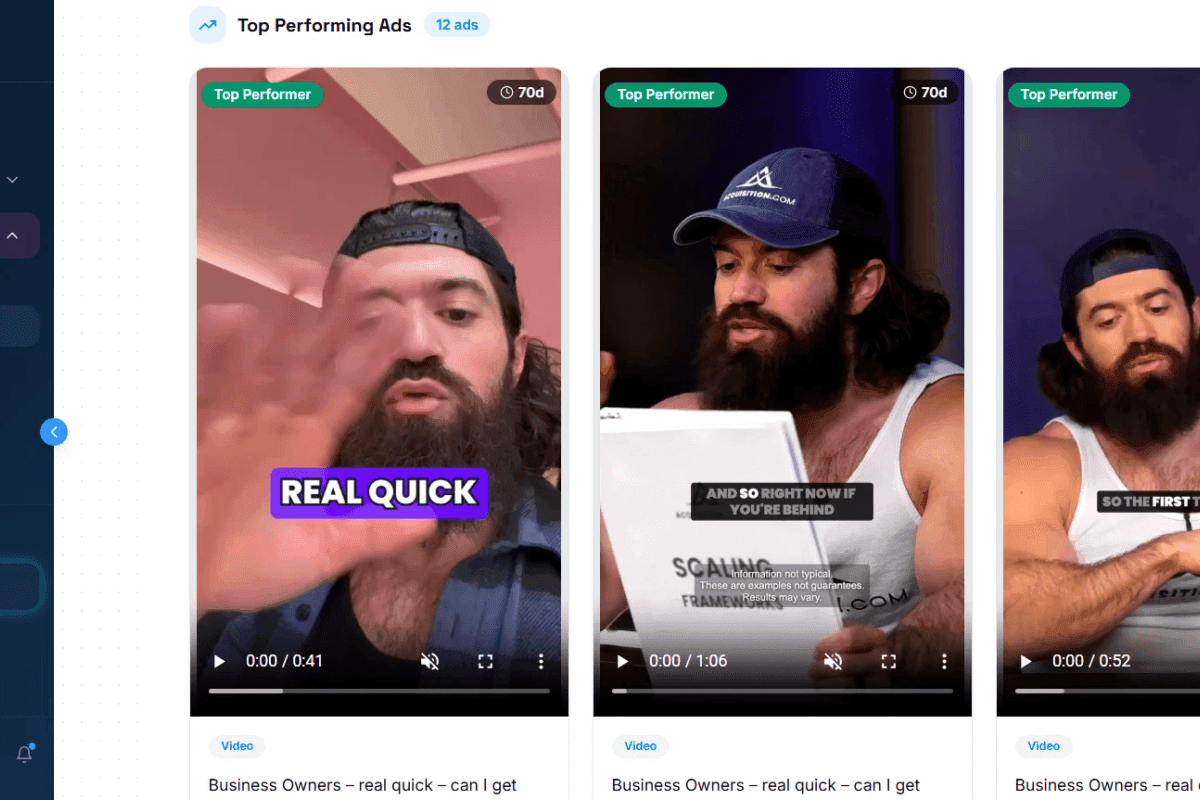 The creatives that survive in the Pengu Insights dashboard