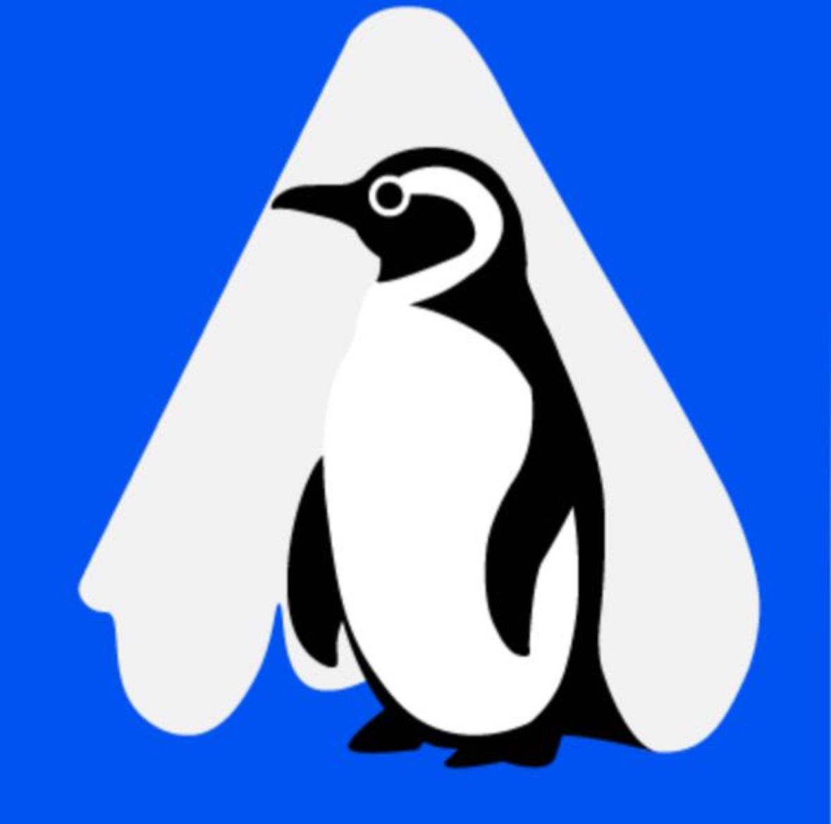 Pengu Insights